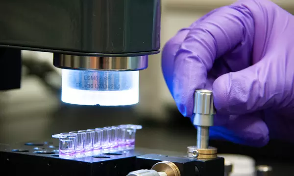 A hand in a purple glove turns a metal dial on a plate holding tiny vials of purple liquid. 