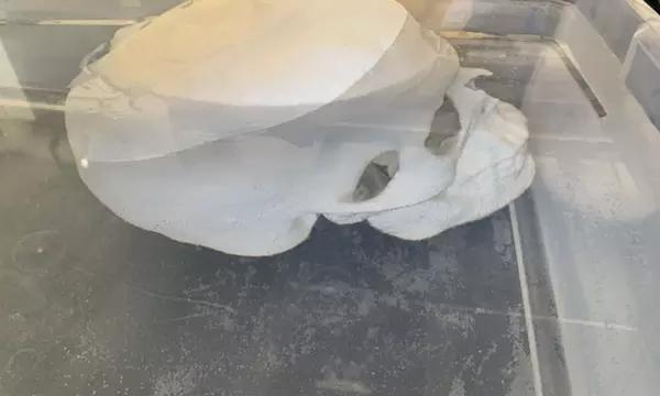 The artificial cranium in a liquid bath.