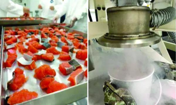 Photo montage showing fish filets and cryogenic processing apparatus.