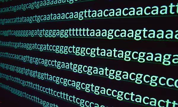 Genetic codes