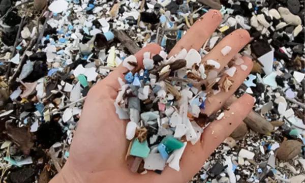  A close up photograph of a hand, holding a palm full of meso to microplastics of many different color, shape, and size. Behind the hand is the Hawaiian beach where the plastic was found, and there is more plastic, sand, and pieces of drift wood.