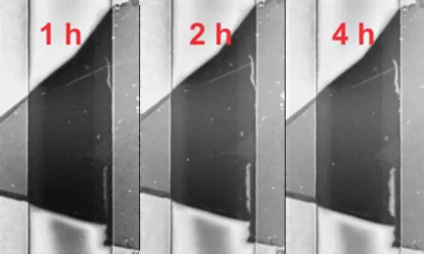 A time series of a MoS2 flake exposed to increasing time under electrical stress shows the growth of defects denoted with red and yellow areas over time. S= source and D = drain electrode.