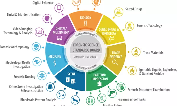 OSAC Organizational Chart_2025_3.0