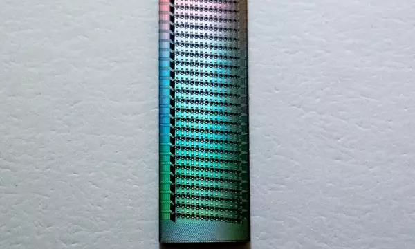 Tiny rectangular chip holds lines of even tinier rings and reflects a rainbow of colors. 