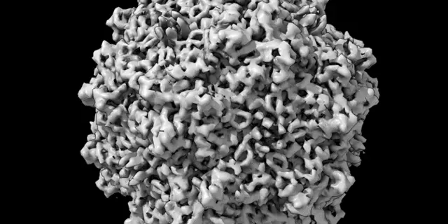 This AAV vector is a bumpy sphere that looks like it's made up of tiny crumpled black and white tubes.