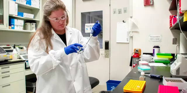 Researcher working in lab with safety glasses and gloves
