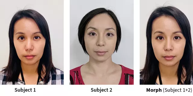 Photos of two different women’s faces are followed by a synthesis of them into a single “morph” image.