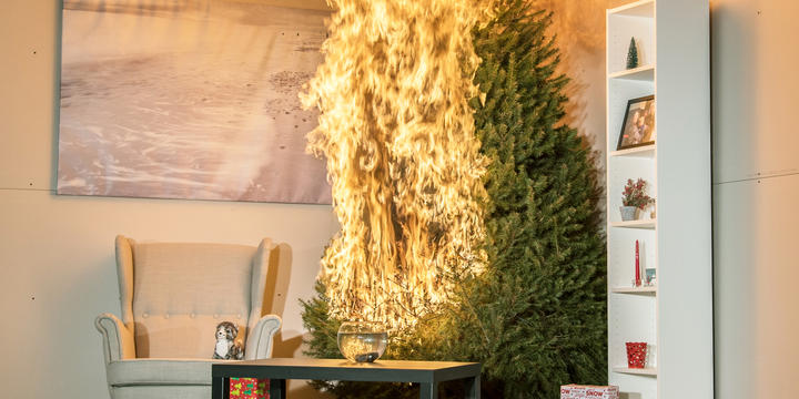A Christmas tree is engulfed in flames. To the left is a chair. In front is a coffee table, rug and fishbowl. To the right is a tall bookshelf. There are 3 wrapped presents under the tree. A timer reads 8:04 seconds.