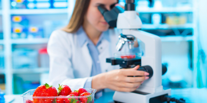 Checking food Strawberries, on the content herbicides and pesticides