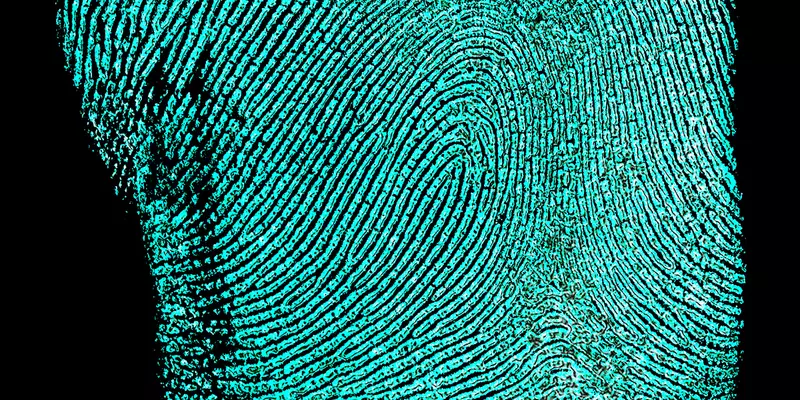 image of fingerprint