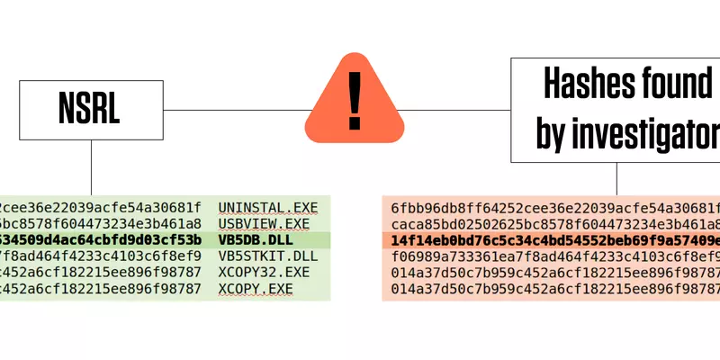 Text strings representing hashes, or tags that mark computer files, appear in green and red boxes. An unexpected hash (in red) can indicate a digital file that may contain illicit content. 