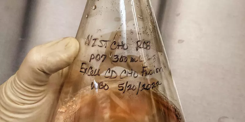 A gloved hand holds a glass flask partly full of pinkish liquid, with a label in marker saying in part "NISTCHO RCB."