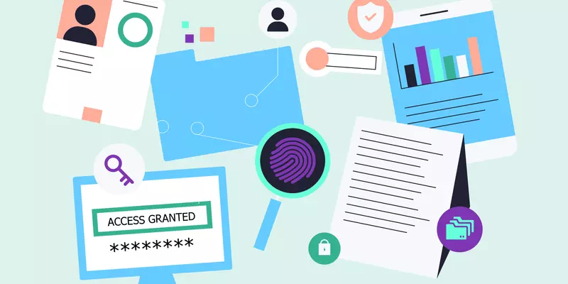 Icons for methods of establishing online identity, including a password and a physical ID card, are shown near a screen reading "ACCESS GRANTED."