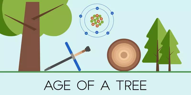 Illustration shows a tree with a T-shaped coring tool, an atom, and a tree cross section with rings and reads: Age of a Tree