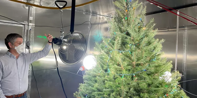 A researcher wearing a face mask gestures to a Christmas tree set up in a metallic box with a large spotlight shining on it. 