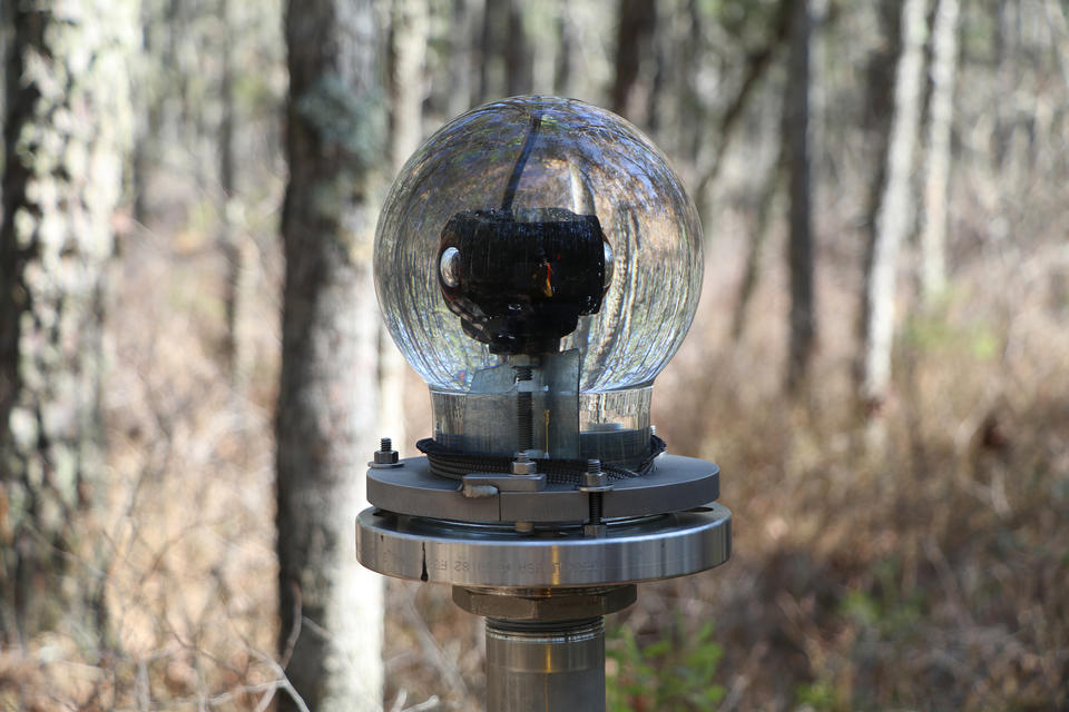 A glass globe on a metal pedestal holds a 360-degree camera in a wooded area.