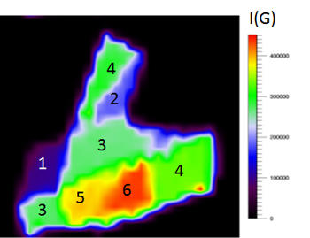 Raman map of the G peak intensity from exfoliated graphene  where layer numbers between 1 and 6 can be identified.