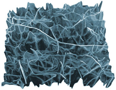 3D SEM measurements using charge contrast to see carbon nanotubes buried in epoxy composite material.