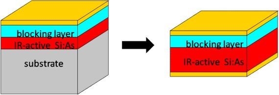 BIB new detector