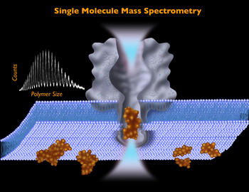 Single molecule mass Spectrometry (Image courtesy of Jeffrey Aarons)