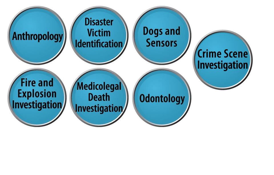 Crime Scene/Death Investigation Lollipops