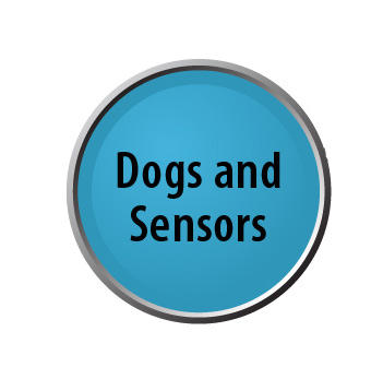 Dogs and Sensors lollipop
