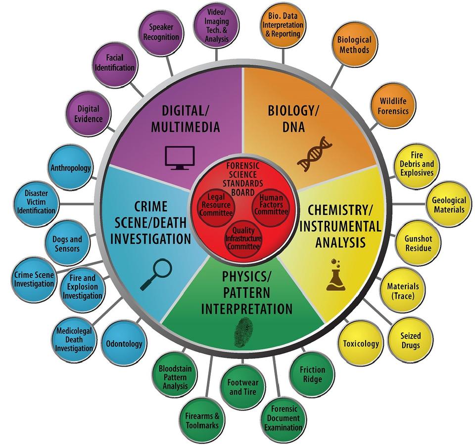 OSAC Lollipop Structure Feb 2016