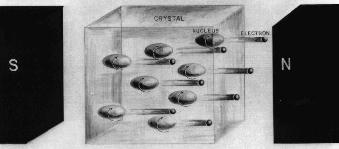 polarization of cobalt-60 nuclei