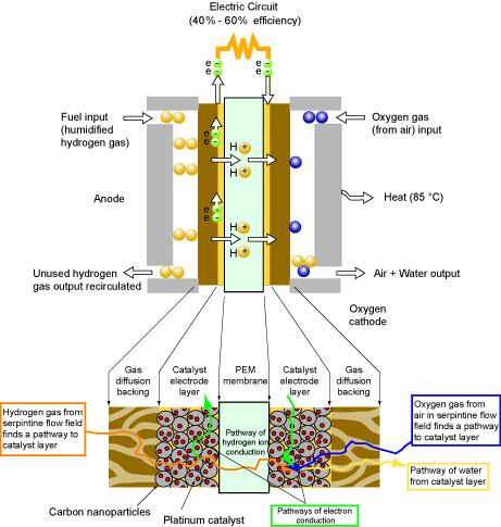 Schematic of basic fuel cell