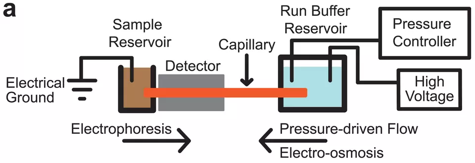 The NIST GEMBE microfluidic sample analysis system is shown schematically