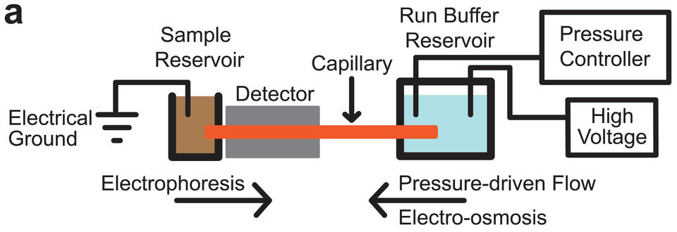 The NIST GEMBE microfluidic sample analysis system is shown schematically