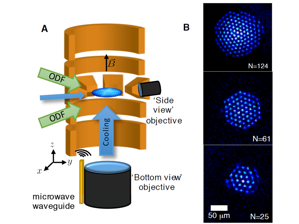 Two-pane figure. Pane A shows a Penning trap structure composed of cylindrical electrodes and a strong magnetic field confining a plane of Beryllium ions.  Pane B shows images of the ions resolved in crystal-like structures.