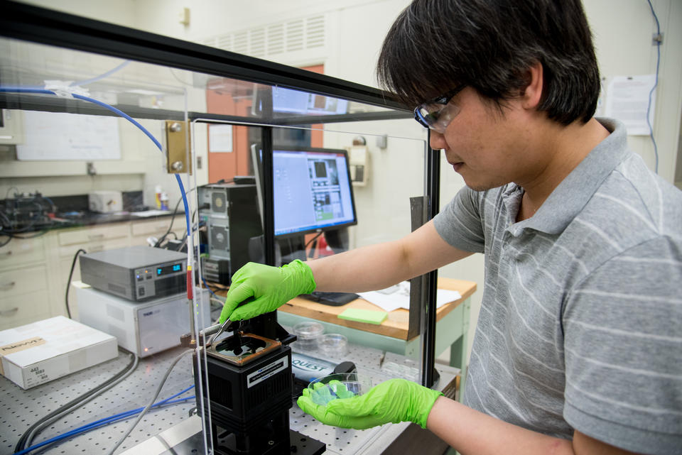 NIST postdoc Nam Nguyen inserts a silicon wafer coated with a “library” of many thousands of different thin-film thermochromic compositions into a custom-built apparatus for testing. 