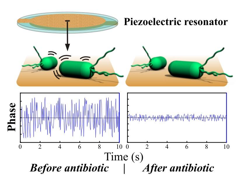 Piezoelectric Resonator