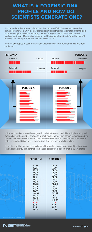 Infographic detailing forensic DNA profiling