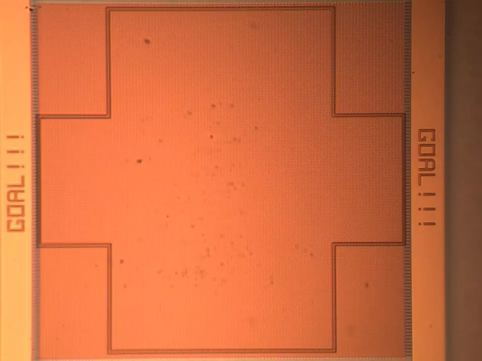 Photomicrograph of Nanosoccer Open Field