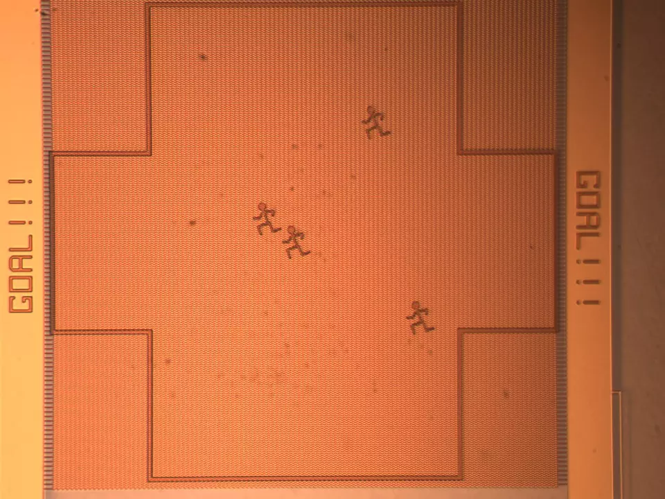 Photomicrograph of Nanosoccer Field with Defenders