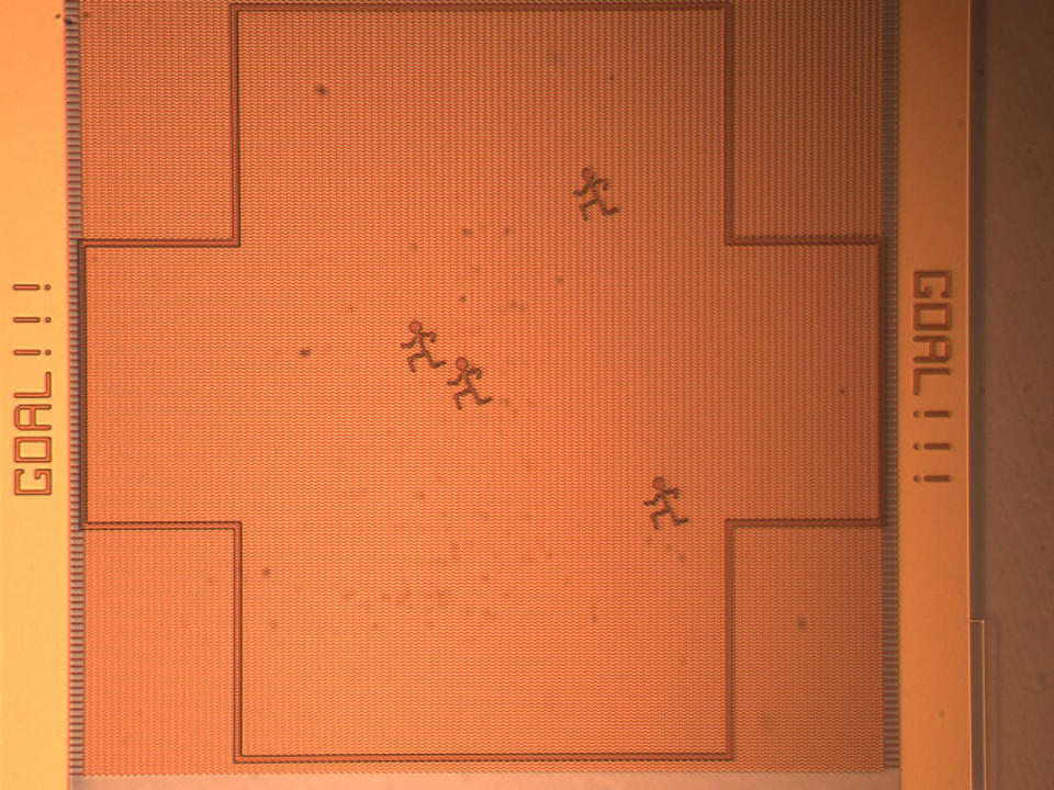 Photomicrograph of Nanosoccer Field with Defenders