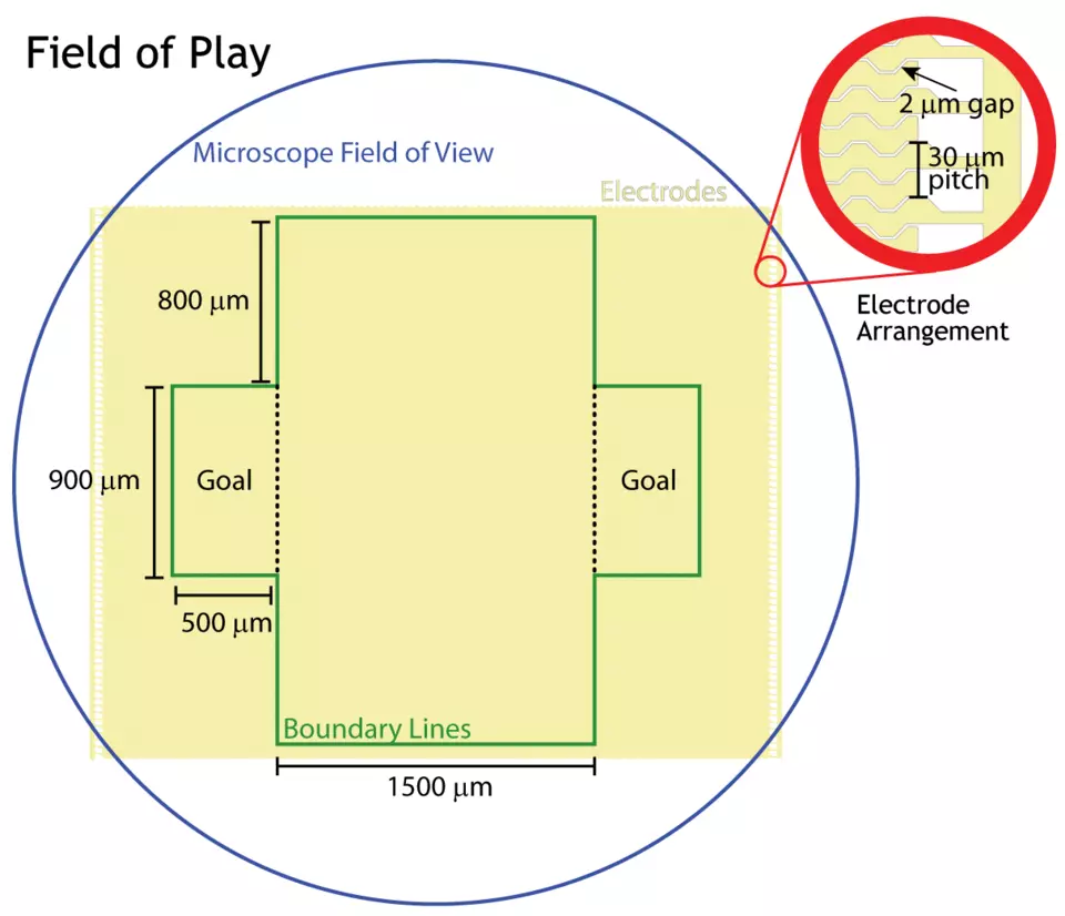 Nanosoccer Field of Play