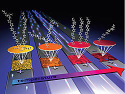 National Synchrotron Light Source