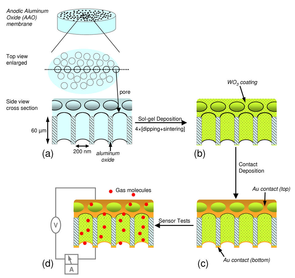 Metal-oxide nanotubes schematic diagram