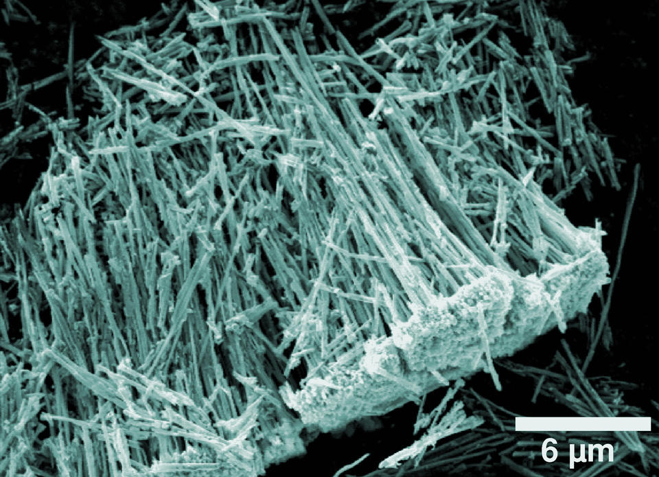 NIST researchers have developed a new technique to form nanotubes for use in gas sensing applications. 