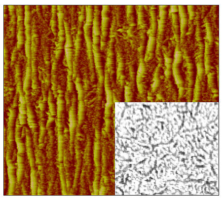 This atomic-force microscopy image shows wrinkling in a single-wall carbon nanotube membrane; the inset shows an optical reflection micrograph of the membrane without any strain. 