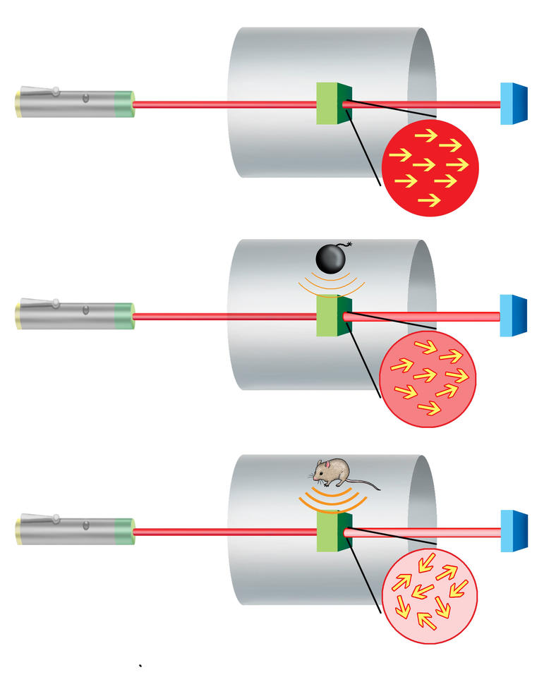 Illustration of NIST's new mini-magnetometer