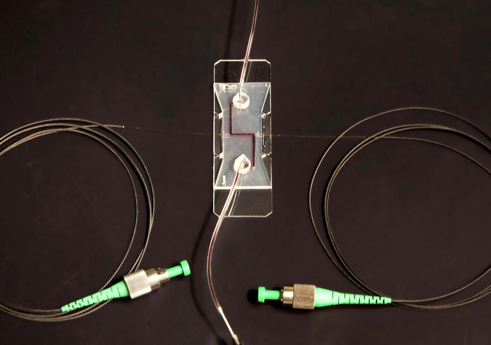 microfluidic device