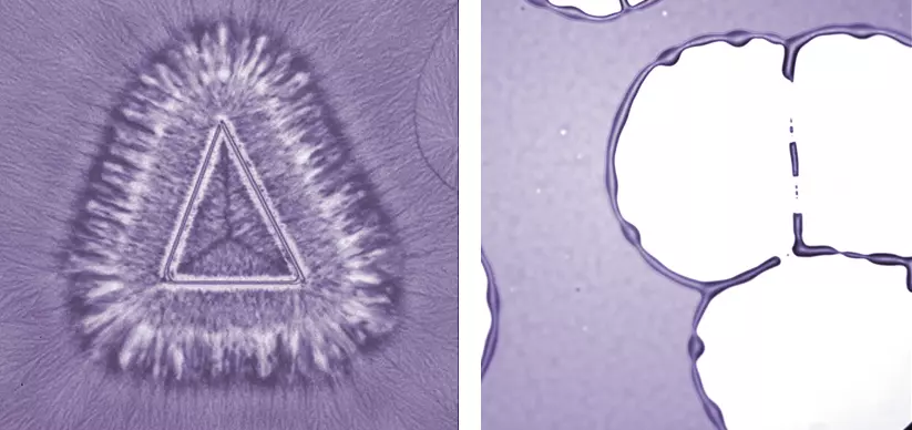 Image of polymer crystallization