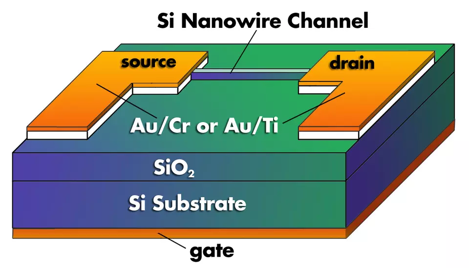 A schematic diagram of the NIST nanowire transistor