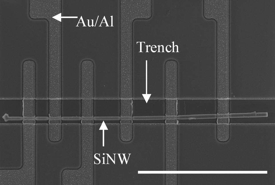 Scanning electron microscope image shows a single silicon nanowire positioned in an etched trench using NIST's nanowire manipulation technique. 
