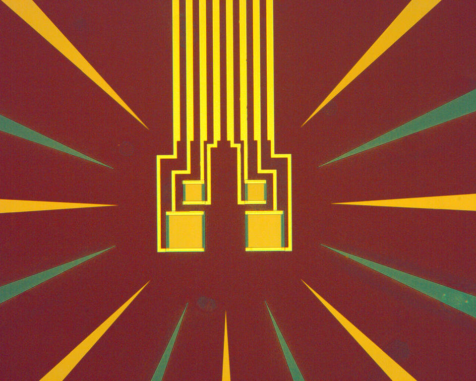 Micrograph of four NIST single photon detectors