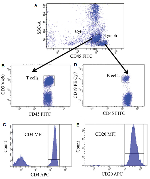 Quantifying CD20 expression level in the unit of ABC